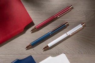 VERNO golyóstoll - bordó